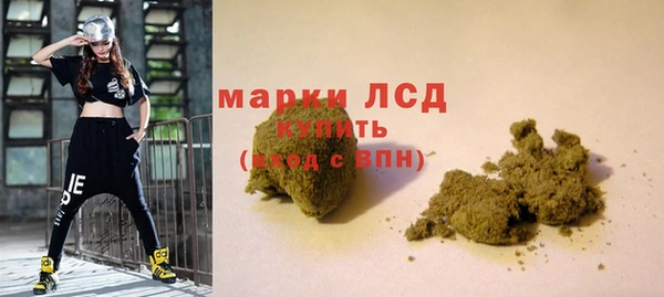 хмурый Магас