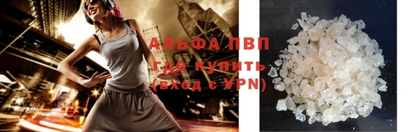 хмурый Магас