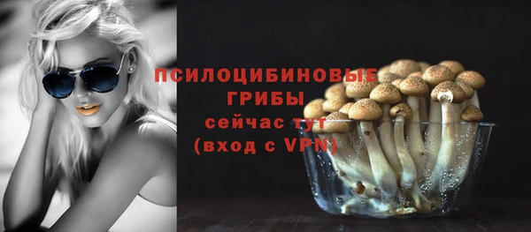 хмурый Магас