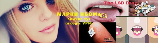хмурый Магас